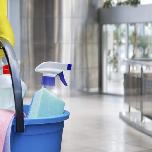 Cleaning lady with a bucket and cleaning products before washing the floor.